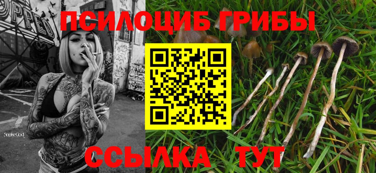 Псилоцибиновые грибы мицелий  Вход с VPN  Наро-Фоминск 